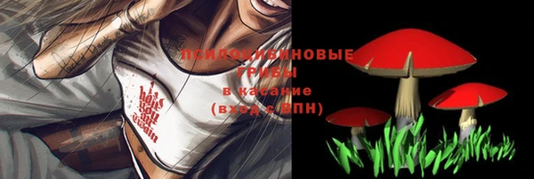дживик Корсаков