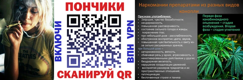 Купить закладки  Гаджиево  Канабис AK-47 